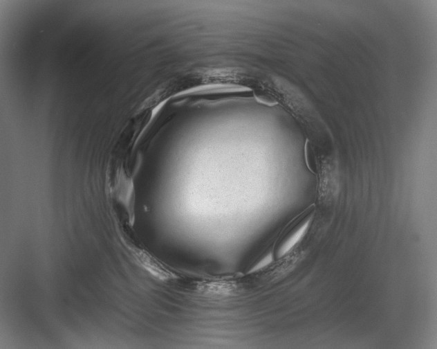 X0000082940282200702152222