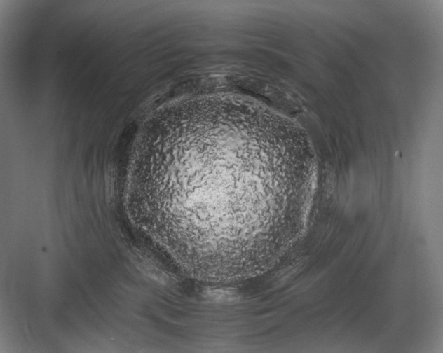 X0000082940283200702152222