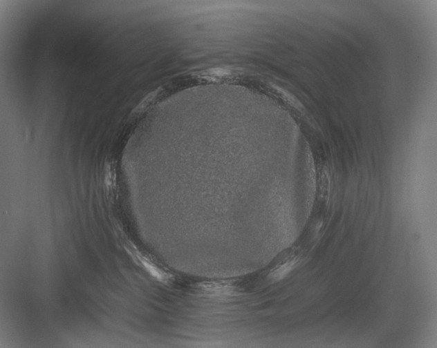 X0000082940284200702152222