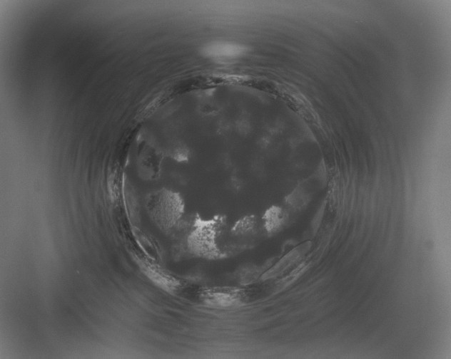 X0000082940285200702152222