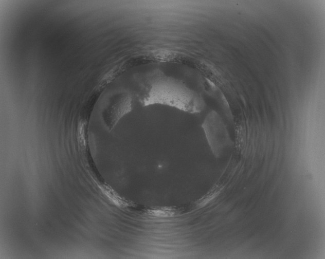 X0000082940286200702152222