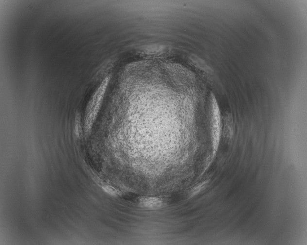 X0000082940287200702152222