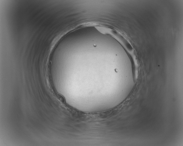 X0000082940289200702152221