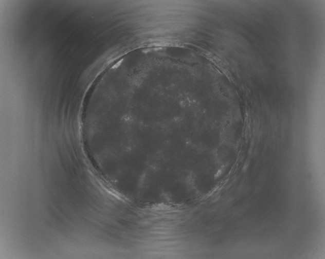 X0000082940290200702152221