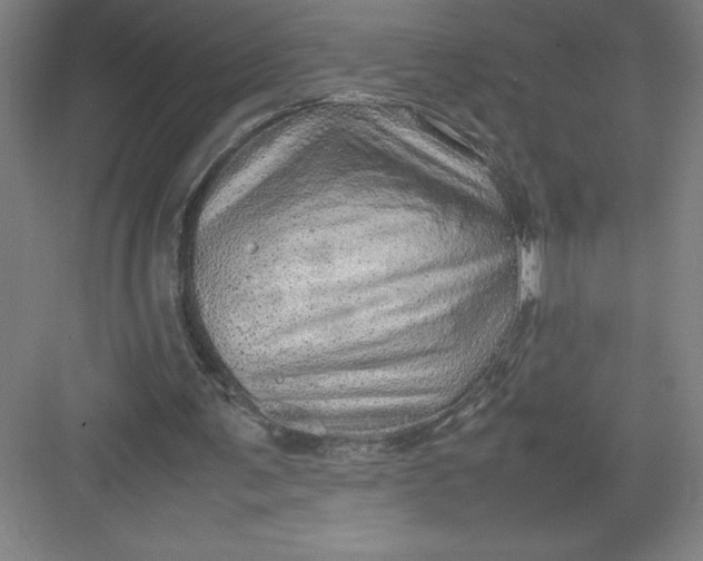 X0000082940291200702152221