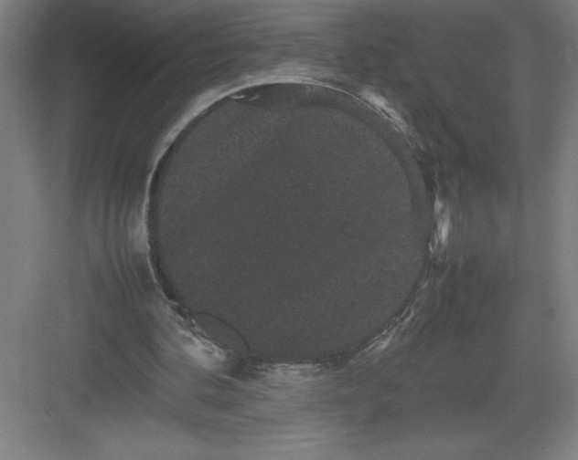 X0000082940292200702152221