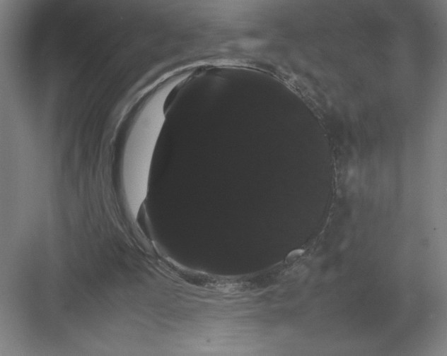 X0000082940295200702152221