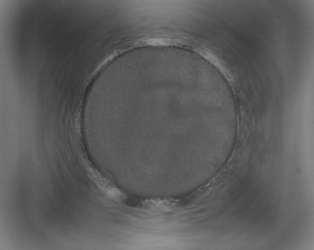 X0000082940297200702152221