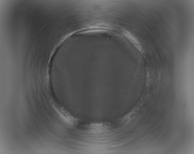 X0000082940298200702152221