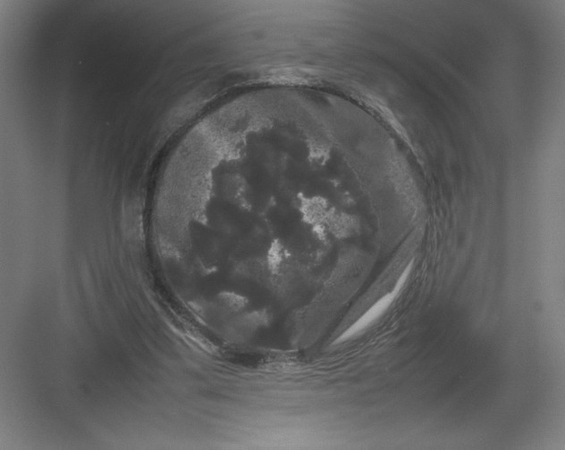 X0000082940299200702152221