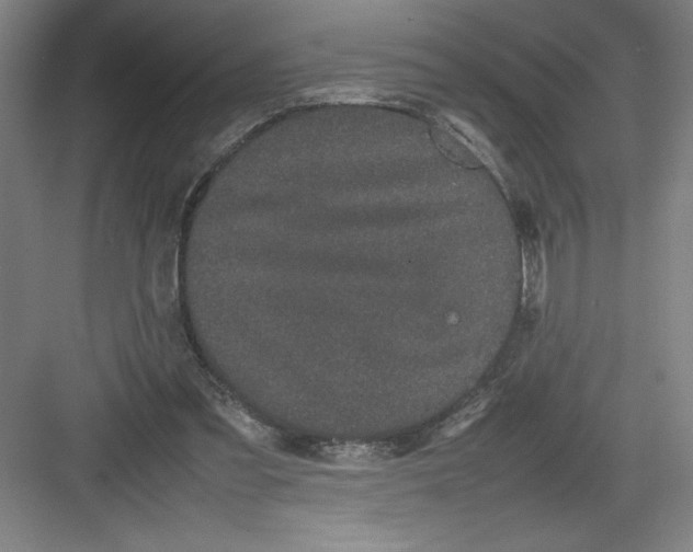 X0000082940301200702152221