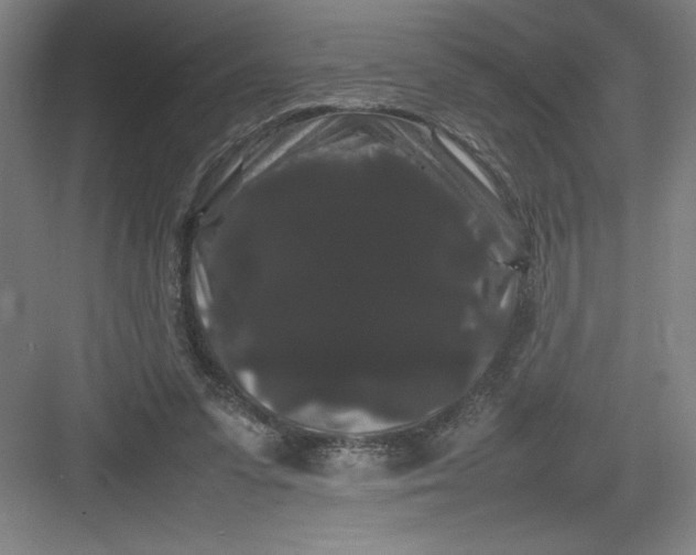 X0000082940303200702152221