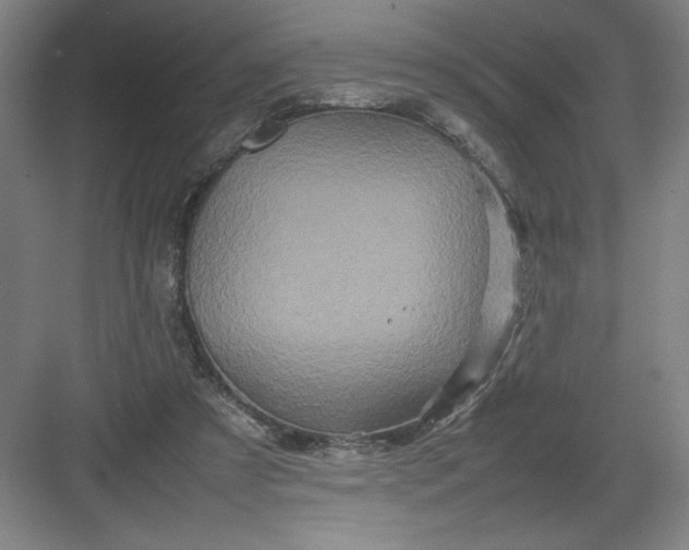 X0000082940305200702152221