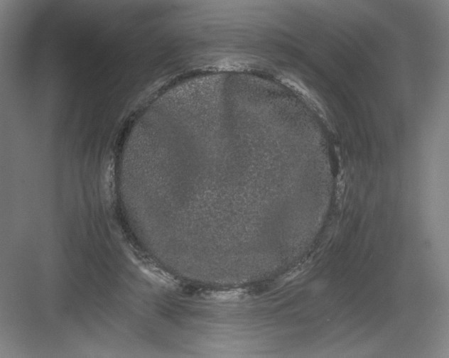 X0000082940306200702152221