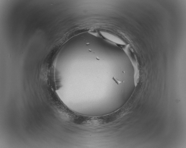 X0000082940307200702152221