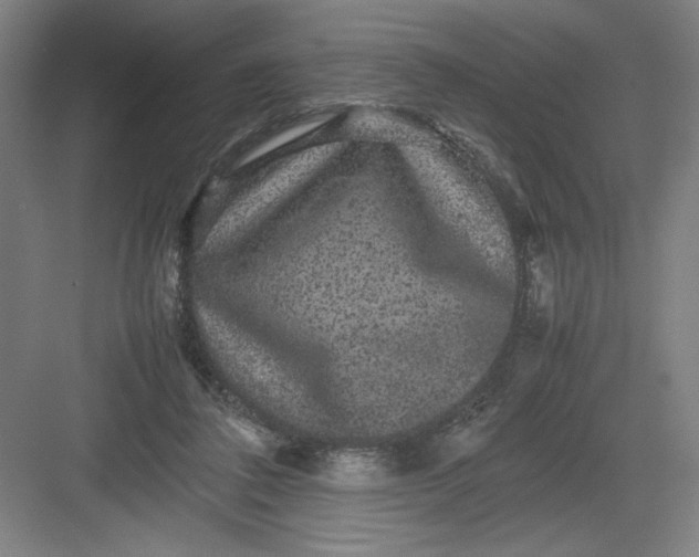 X0000082940308200702152221