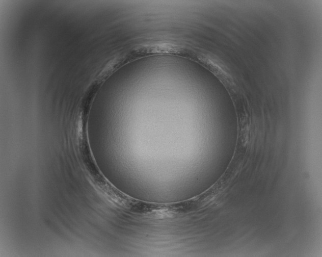 X0000082940310200702152221