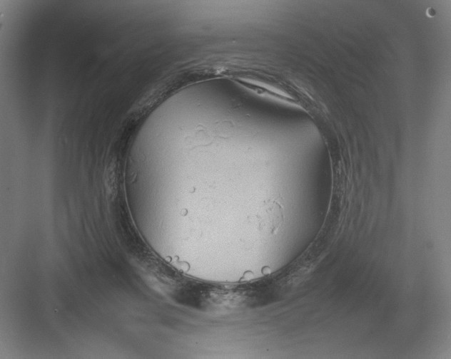 X0000082940311200702152221