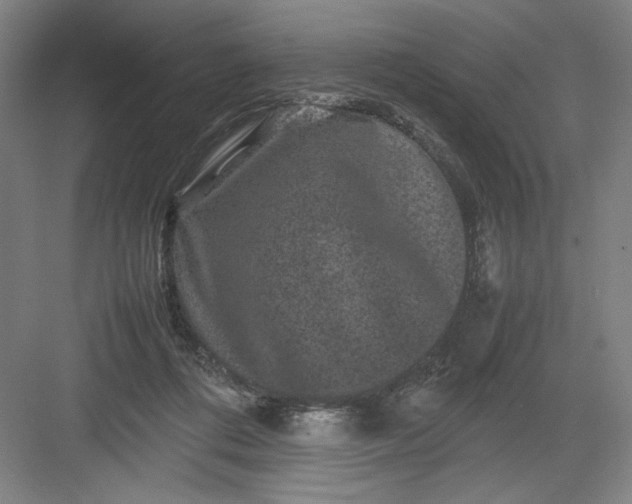 X0000082940312200702152221