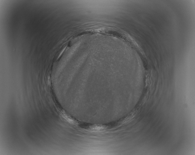 X0000082940313200702152221