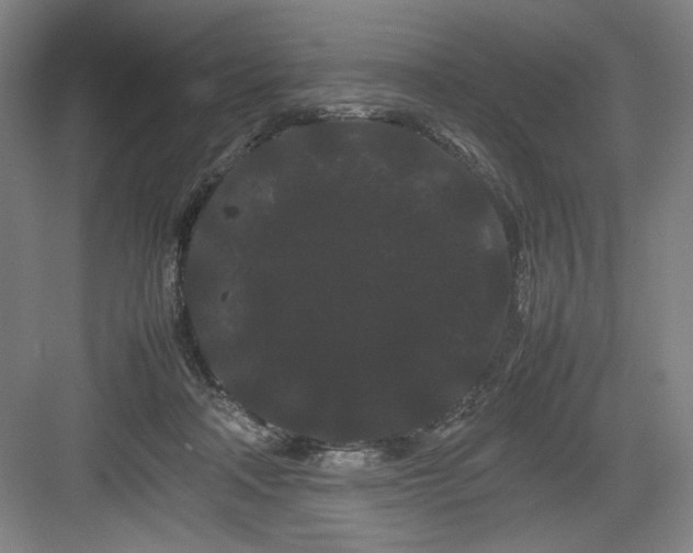 X0000082940314200702152221