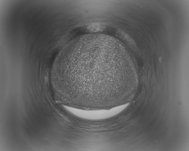 X0000082940315200702152221