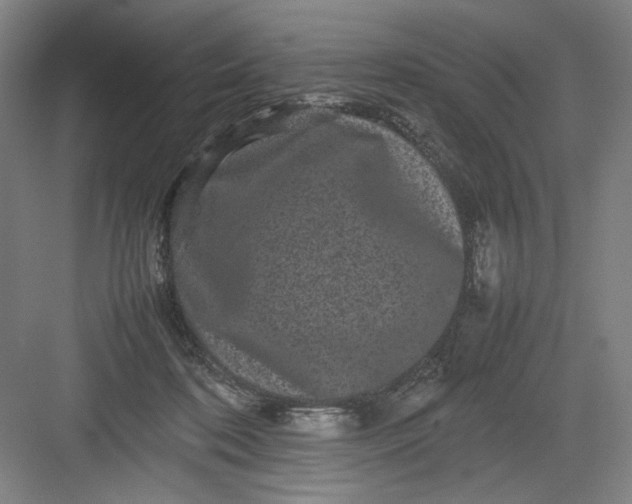 X0000082940316200702152221