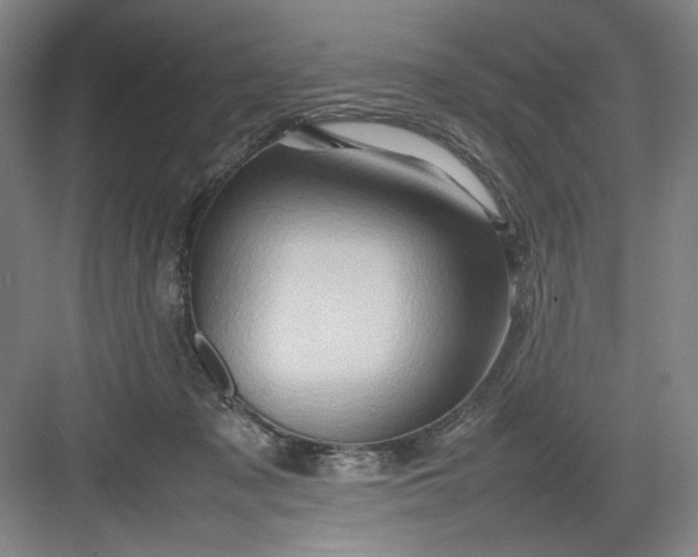 X0000082940317200702152221