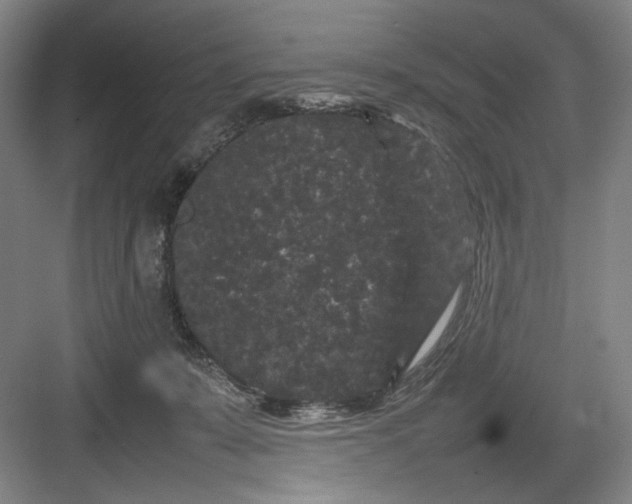 X0000082940319200702152221