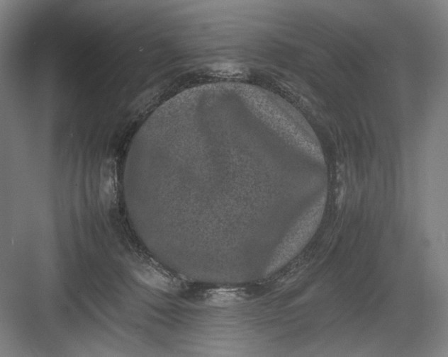 X0000082940320200702152221