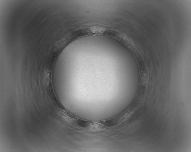 X0000082940321200702152221