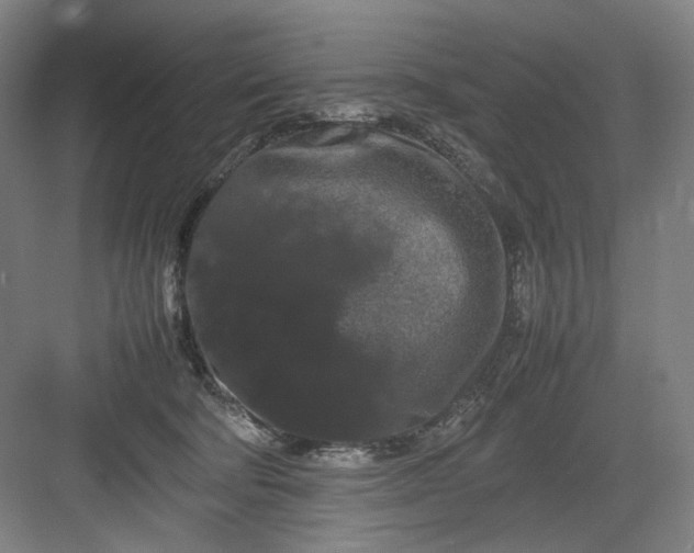 X0000082940322200702152221