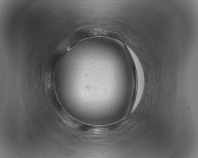 X0000082940323200702152221