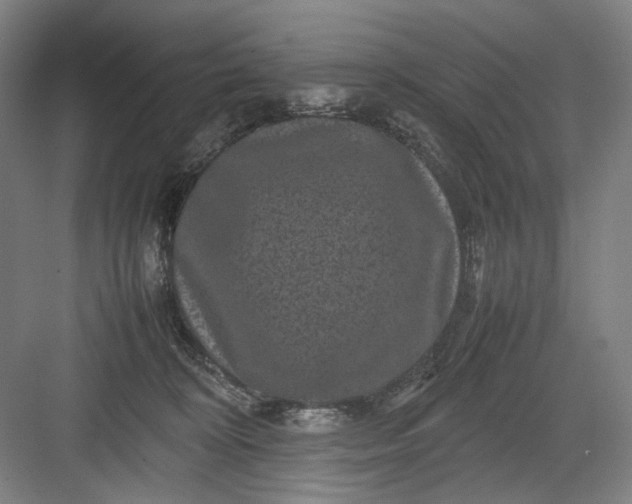 X0000082940324200702152221