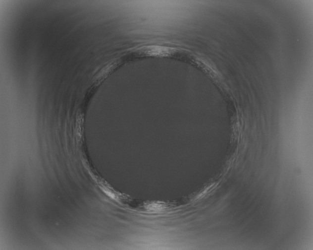 X0000082940325200702152221