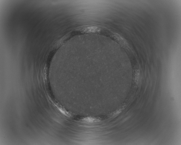 X0000082940326200702152221