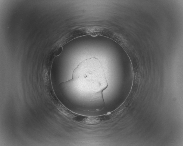 X0000082940327200702152221