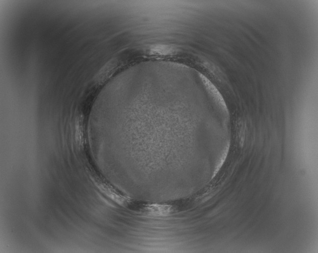 X0000082940328200702152220