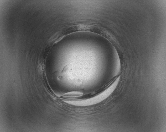 X0000082940329200702152220