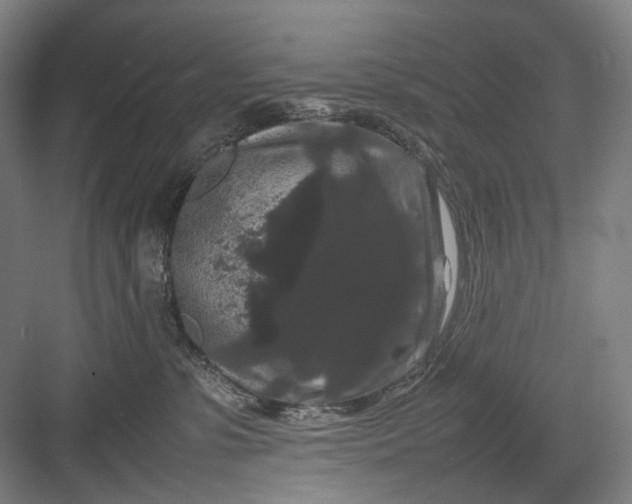 X0000082940331200702152220