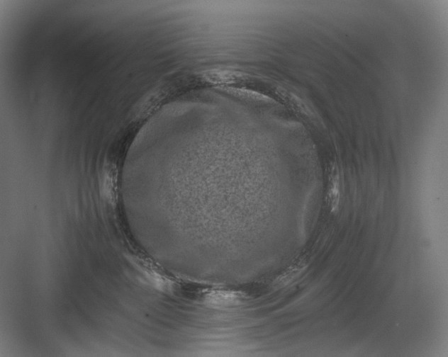 X0000082940332200702152220