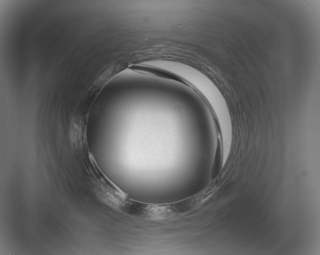 X0000082940333200702152220