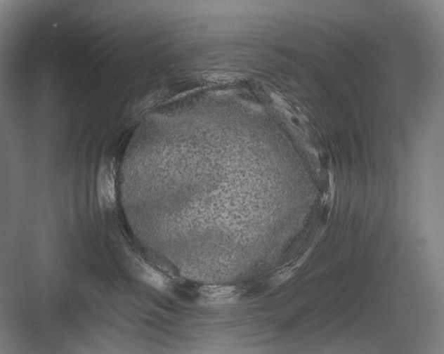 X0000082940334200702152220