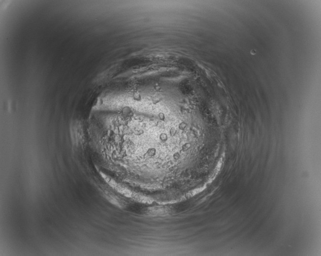 X0000082940335200702152220