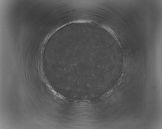 X0000082940337200702152220