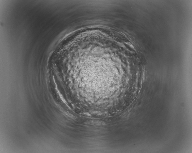 X0000082940339200702152220