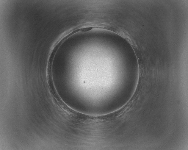 X0000082940340200702152220