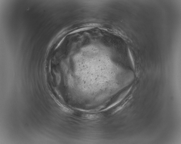 X0000082940341200702152220