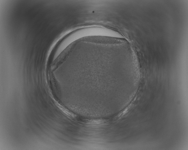 X0000082940342200702152220