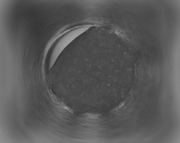 X0000082940343200702152220